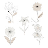 Collection of flowers sketch isolated on white