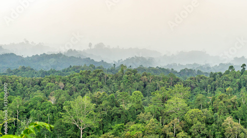 Фотография beautiful panorama of hilly dense rain forest in Borneo