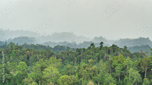 beautiful panorama of hilly dense rain forest in Borneo