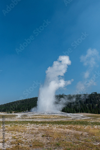 geyser yellowston national park