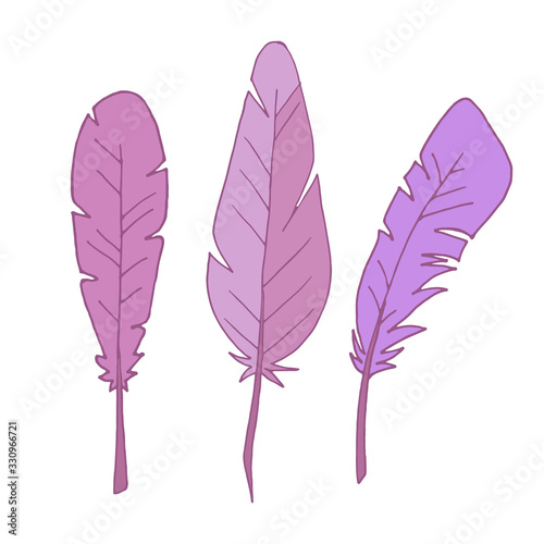 Set of feathers. Isolated feathers on a white background. Outline illustration. Vector. Flat illustration. Three feathers. The purple feathers.