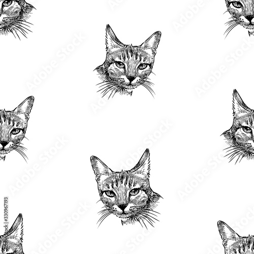 Seamless background of sketch portraits of domestic kittens