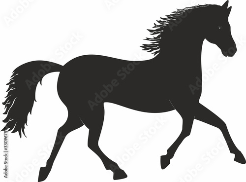 Vector illustration. One beautiful black horse in silhouette trotting. running.
