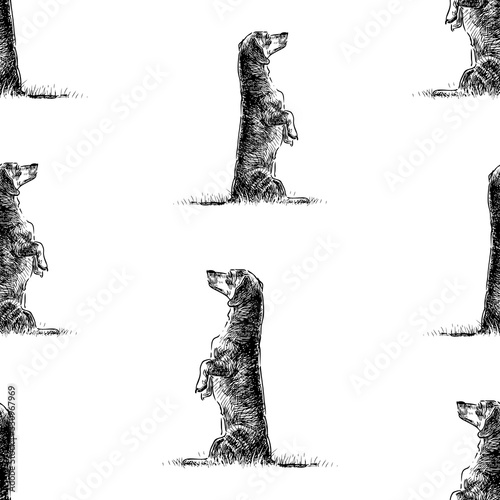 Seamless pattern of sketches cute trained dachshund