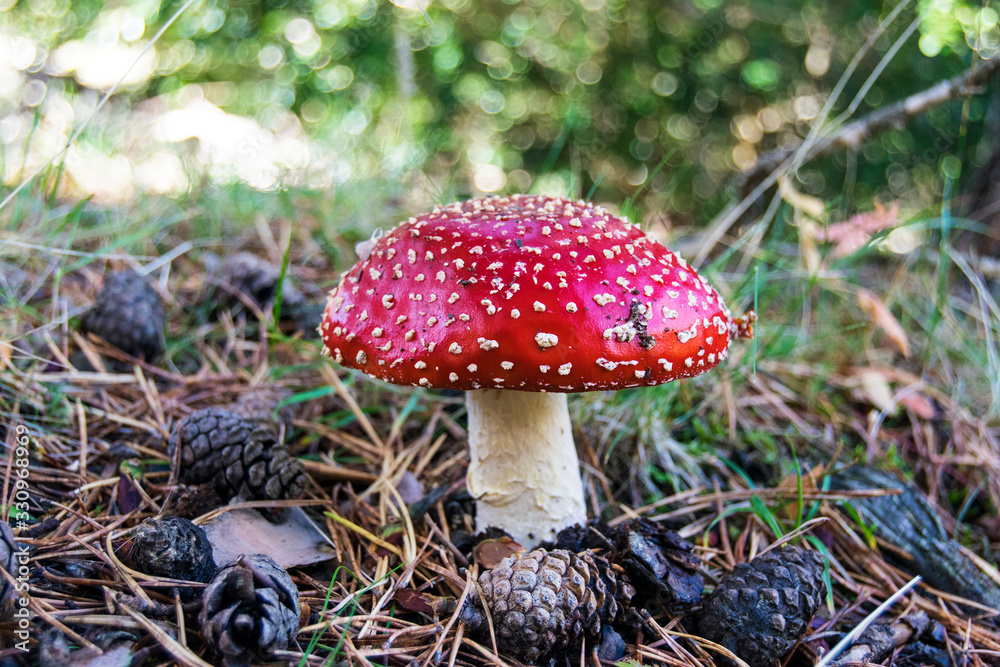 Ordesa Ordesa