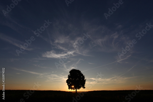 Foto A lonely solitary tree infront of the setting sun at dusk sunset
