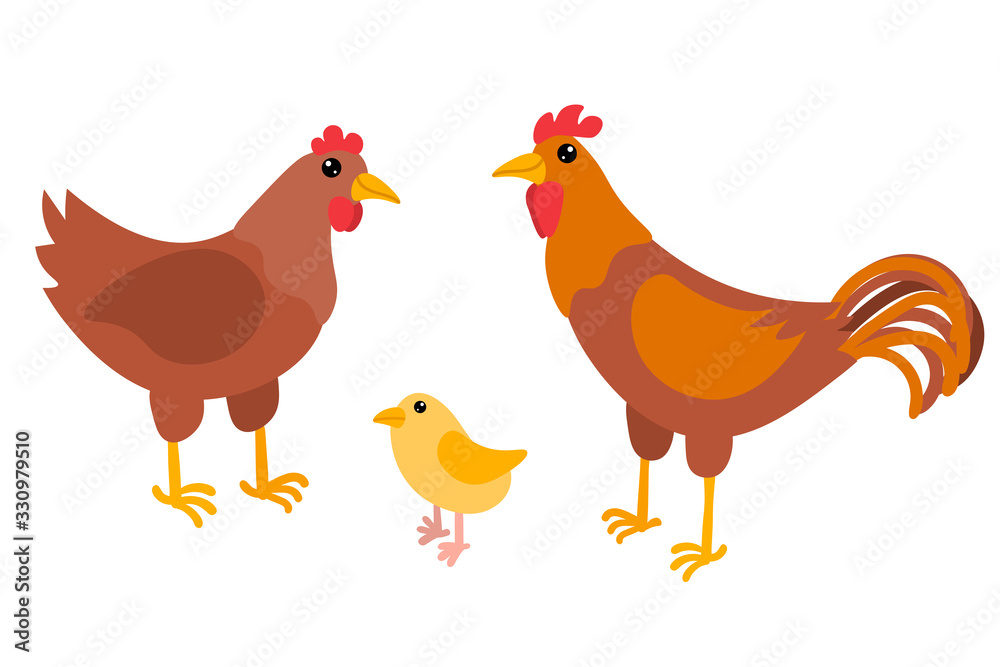 Cartoon chicken, chick and rooster. Bird family in flat style isolated on white background. Farm animals. Vector illustration.   