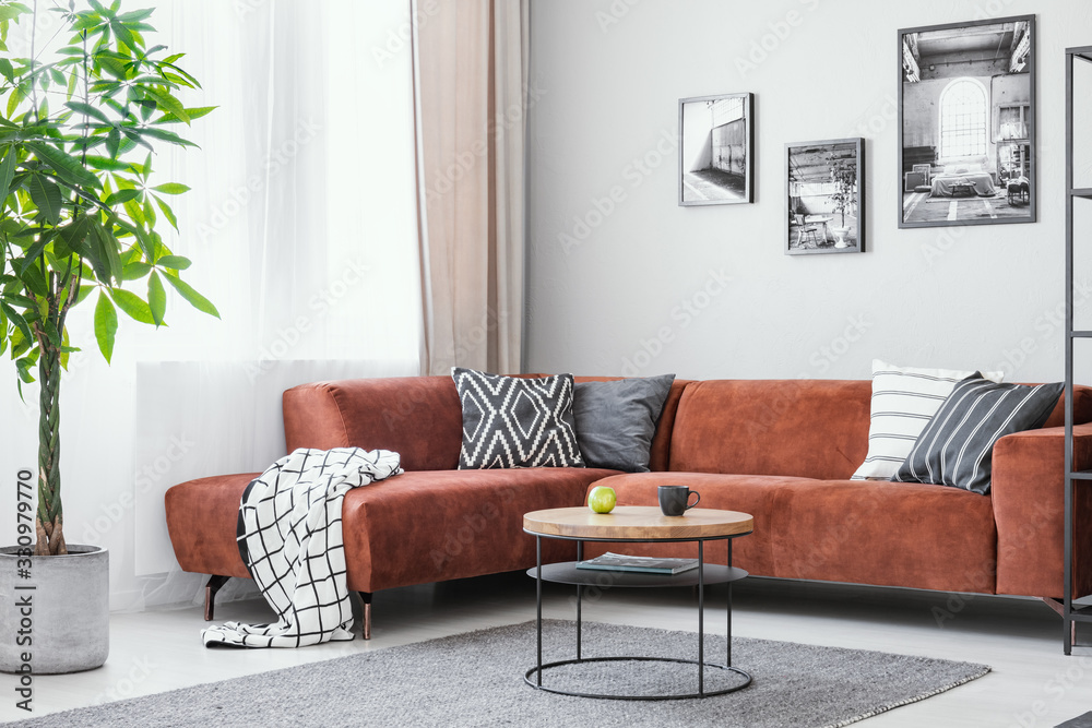Foto Big green plant, small round coffee table and corner sofa in elegant living room