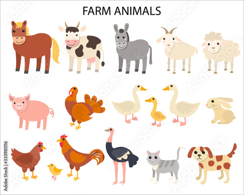 Fototapeta Naklejka Na Ścianę i Meble -  Cartoon farm animals in flat style isolated on white background. Horse and cow, donkey and sheep, pig and turkey, goose and rabbit, hen and cock, ostrich and cat, dog and goat. Vector illustration.