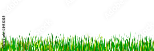 Green seamless grass border. Spring forest meadow isolated on white background. Summer landscape. Vector illustration. 
