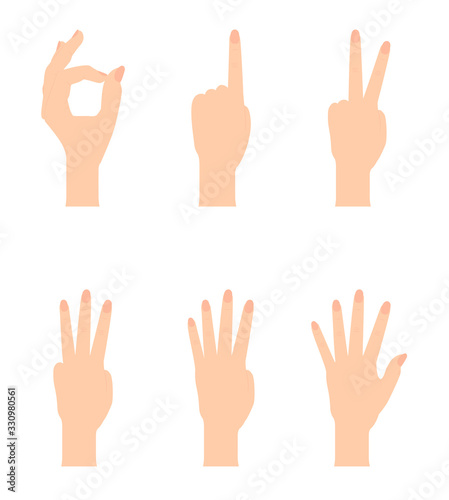 Set of Naturalistic Hand Silhouettes that show the numbers 0, 1, 2, 3, 4, 5 with flexion of the fingers. Vector Illustraion