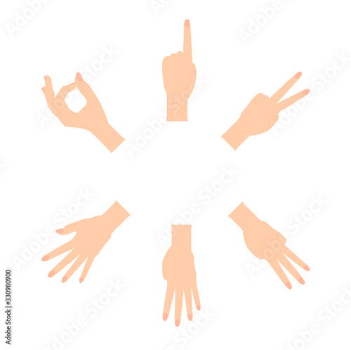 Set of Naturalistic Hand Silhouettes that show the numbers 0, 1, 2, 3, 4, 5 with flexion of the fingers. Vector Illustraion