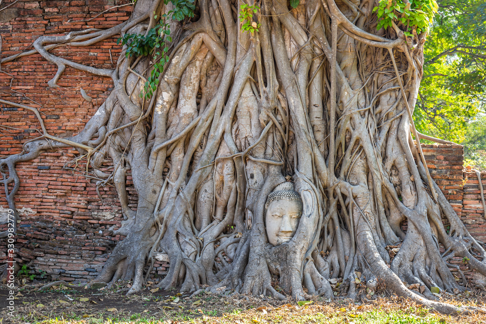 Buddha Head in Tree Roots at Wat Mahathat Temple Ayutthaya Thailand. Is the most popular place for foreign tourists. Buddha Head in Tree Roots at Wat Mahathat Temple Ayutthaya Thailand. Is the most popular place for foreign tourists.