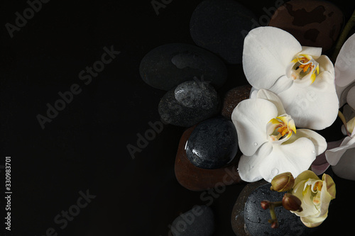 Stones and orchid flowers in water on black background, flat lay with space for text. Zen lifestyle