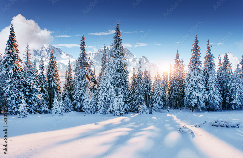 Obraz premium Beautiful sunlight. Majestic landscape with forest at winter time. Scenery background