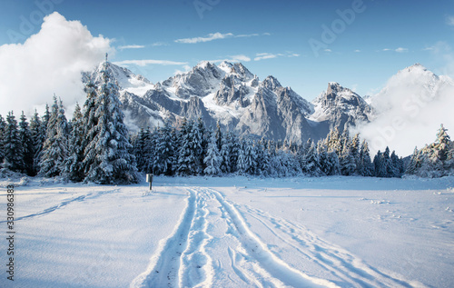 Majestic landscape with forest at winter time. Scenery background
