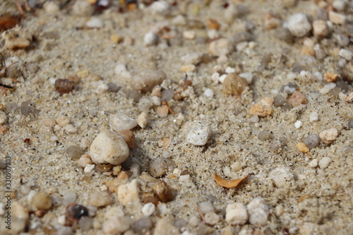 Macro de sable