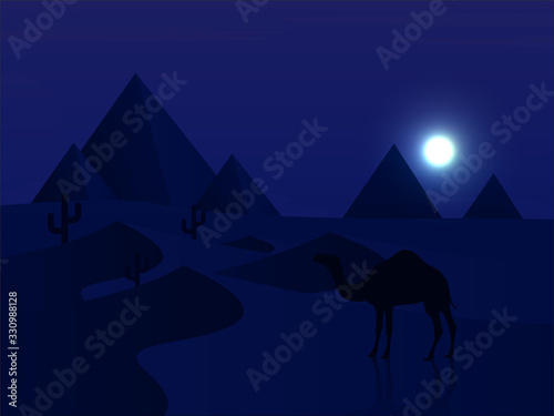 camel at night