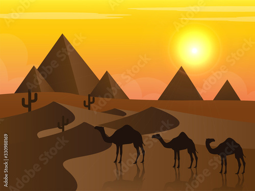 camel desert sunset