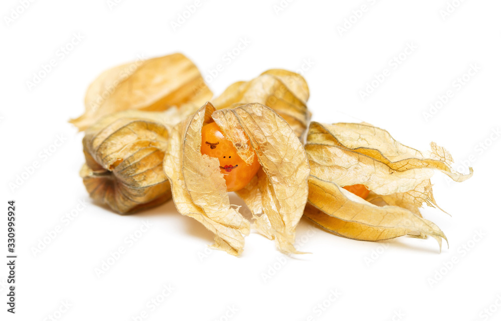 Physalis berry with a funny face isolated on white background. Physalis peruviana (groundcherries, Cape gooseberry, husk tomatoes, Inca berry, poha berries) Physalis berry with a funny face isolated on white background. Physalis peruviana (groundcherries, Cape gooseberry, husk tomatoes, Inca berry, poha berries)