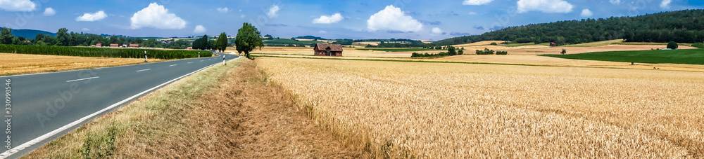 Panorama from Wheatfield with Street