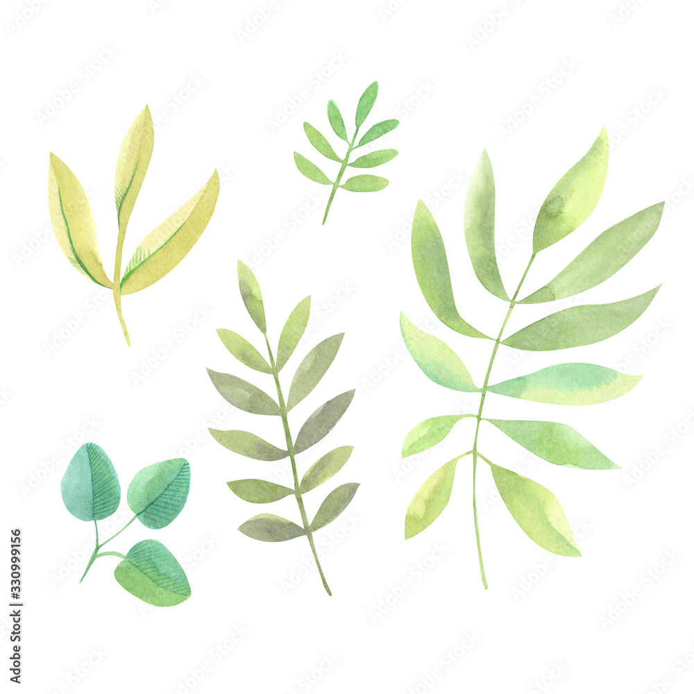 Clipart of watercolor twigs with leaves in green shades and different sizes. Drawn by hand