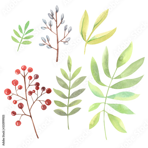 Clipart of watercolor twigs with leaves in green shades and twigs with red berries. Drawn by hand