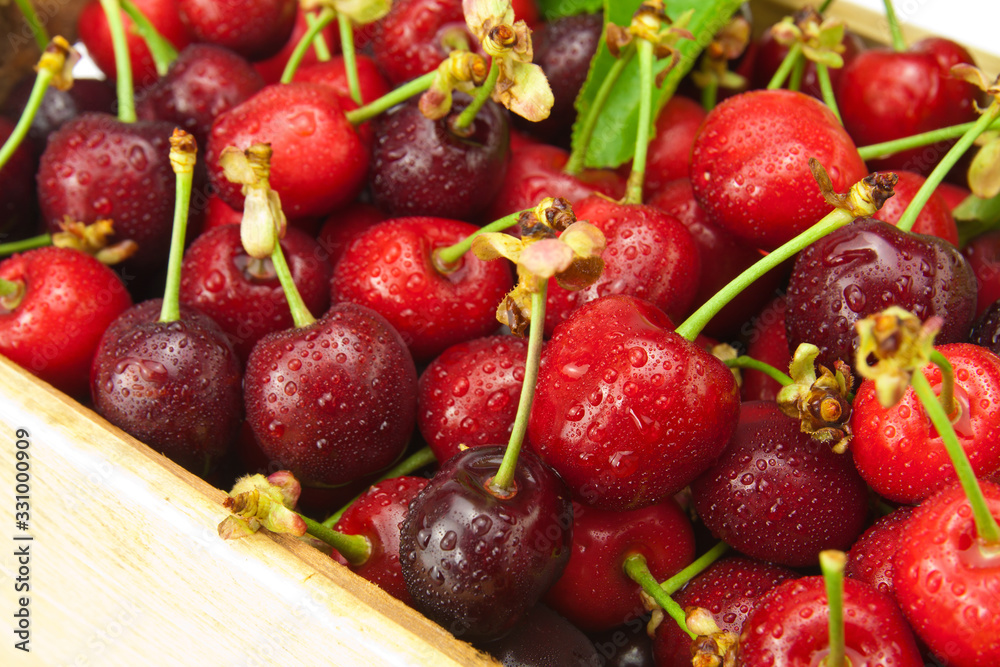 Fresh wet cherries Fresh wet cherries
