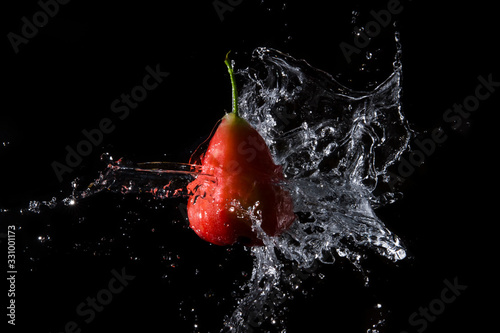 The water is splashed rose apple on the until the water is distributed beautifully on a black background.