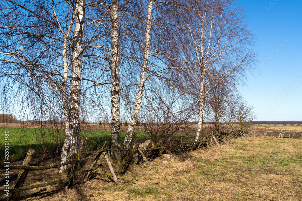 Fototapeta premium Krajobraz wiejski. Przedwiośnie na Podlasiu, Polska