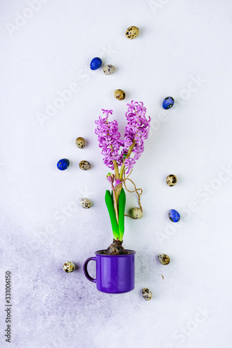 Purple hyacinth buld bflower in a violet mug, colored Easter eggs on white background photo