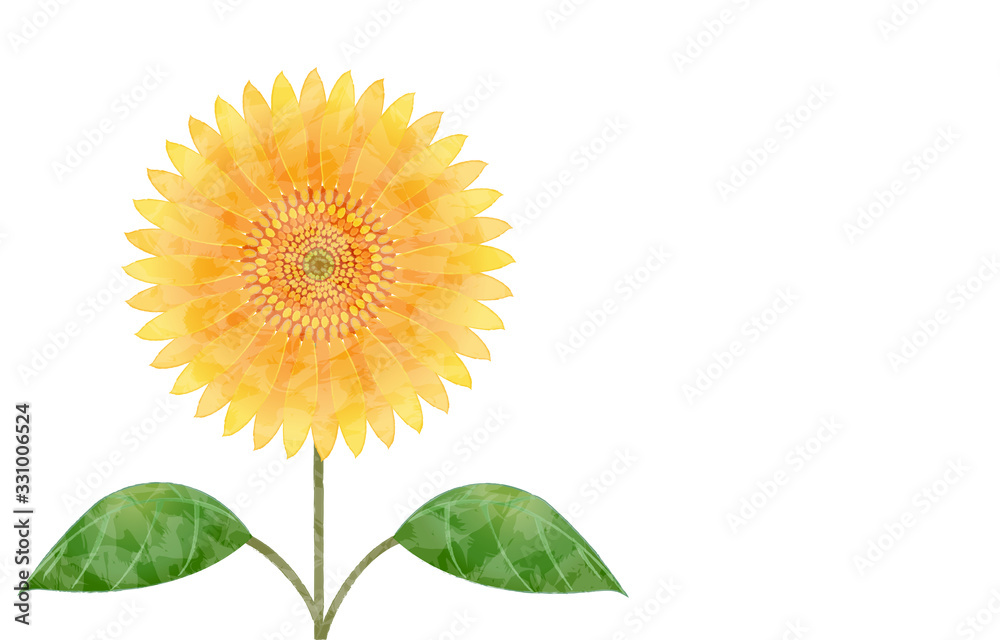 大輪の向日葵のイラスト Stock Vector Adobe Stock