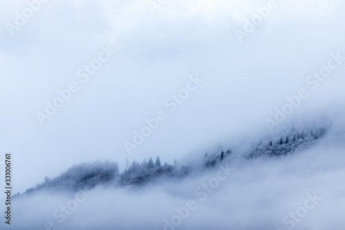 View of the forest and the mountains in the mist in winter - Morzine Valley, France