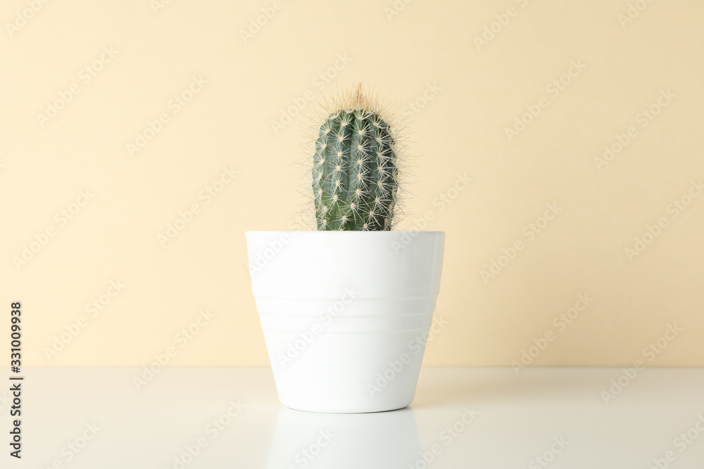 Cactus in pot against beige background, space for text Cactus in pot against beige background, space for text