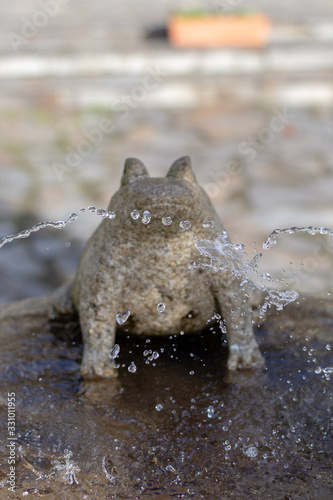 juegos de agua con una rana de piedra en el centro