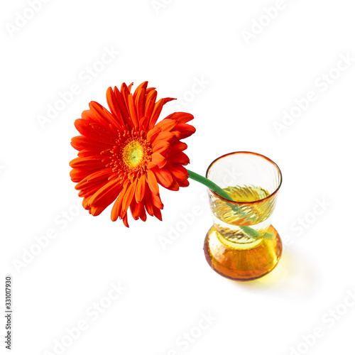 Fototapeta Naklejka Na Ścianę i Meble -  Orange gerbera in vase isolated on white background for decoration design. Single Spring Flower cut out on backdrop. One Bright daisy like romance gift in glass pot. Floral Home decor stock picture