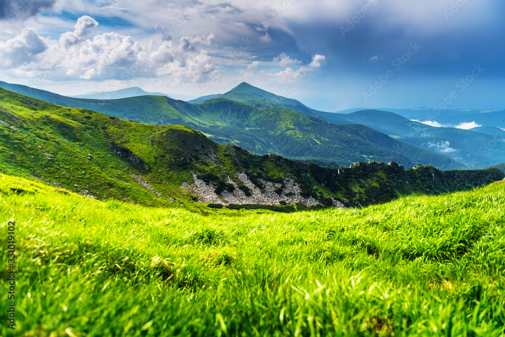 Lush green grass covered mountains meadow in summer time. Soft sunrise light glowing on a foreground. Landscape photography. Nature background Lush green grass covered mountains meadow in summer time. Soft sunrise light glowing on a foreground. Landscape photography. Nature background
