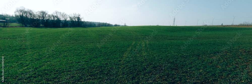 Obraz premium Green field nature background with copyspace. Climate change banner concept. Stock photo.