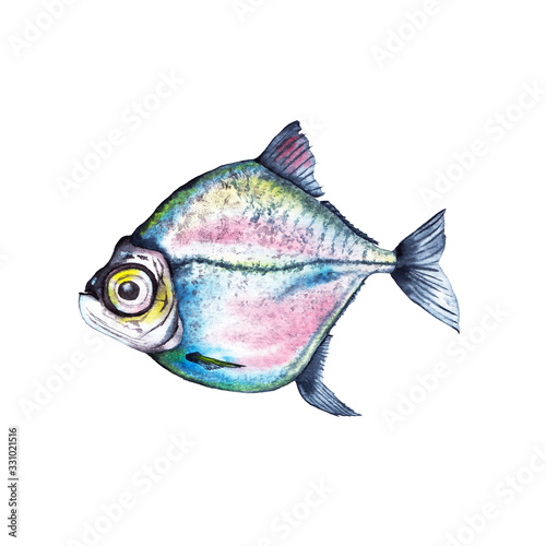 Big-eyed marine fish in blue and pink colours with yellow back. Illustration in close to actual image. Watercolor hand painted isolated elements on white background.