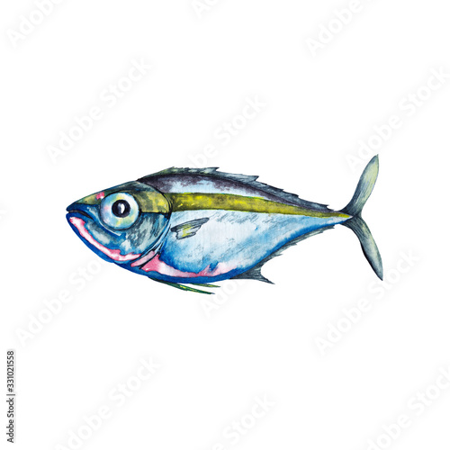 Big-eyed marine fish in blue and pink colours with yellow-green strip. Illustration in close to actual image. Watercolor hand painted isolated elements on white background.