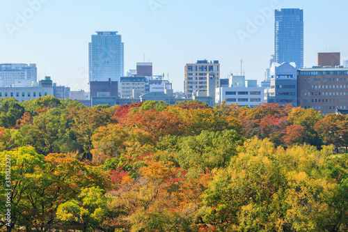 Fototapeta Naklejka Na Ścianę i Meble -  Aerial view of Osaka cityscape in autumn season at Osaka, Japan