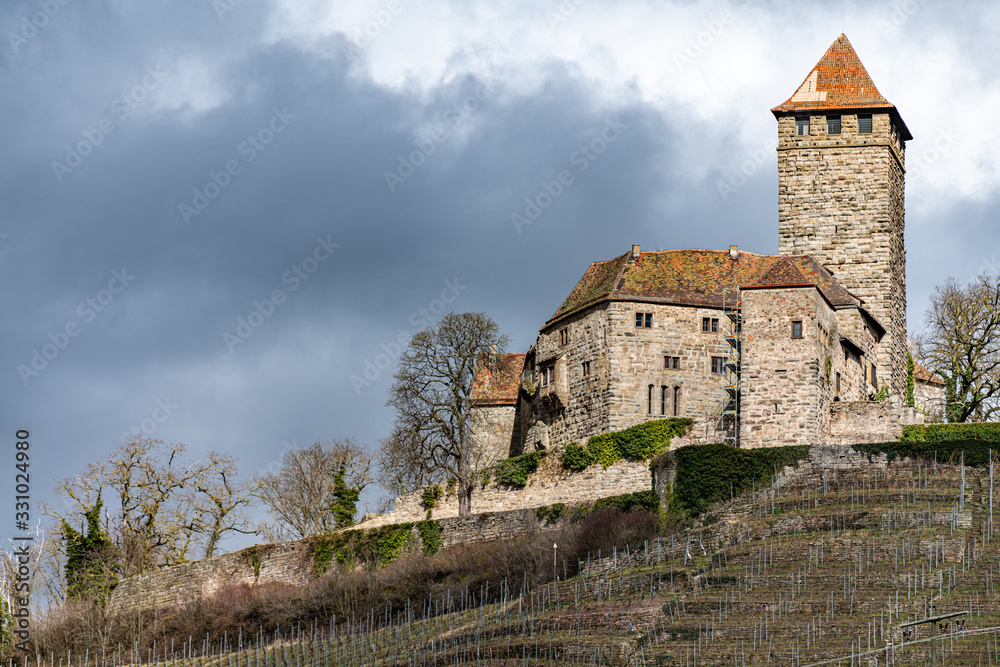Burg Lichtenberg and vineyard in Germany