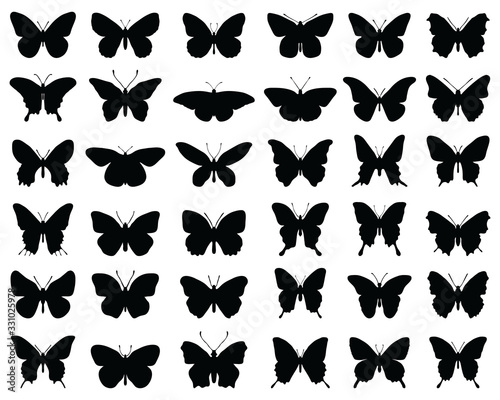 Silhouettes of butterflies on a white background