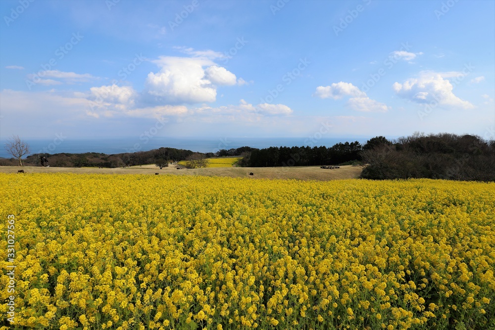 あわじ花さじき