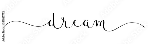 DREAM black vector brush calligraphy banner with swashes