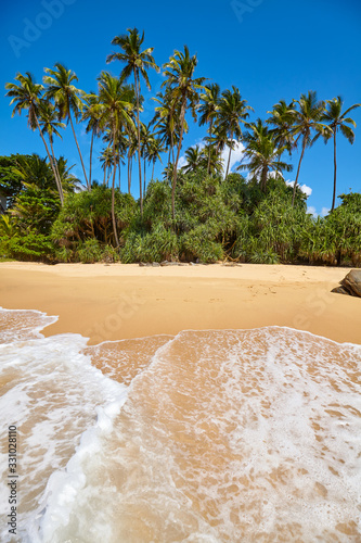Tropical beach with palm trees on a sunny day.