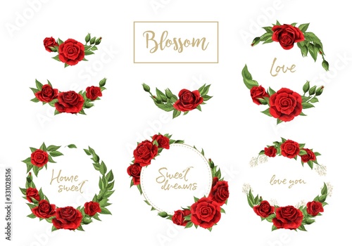 Red roses hand drawn illustration elements colored set isolated on white