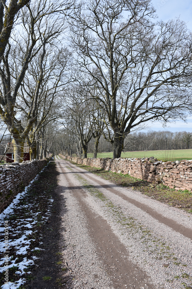 Country road surrounded with dry stone walls