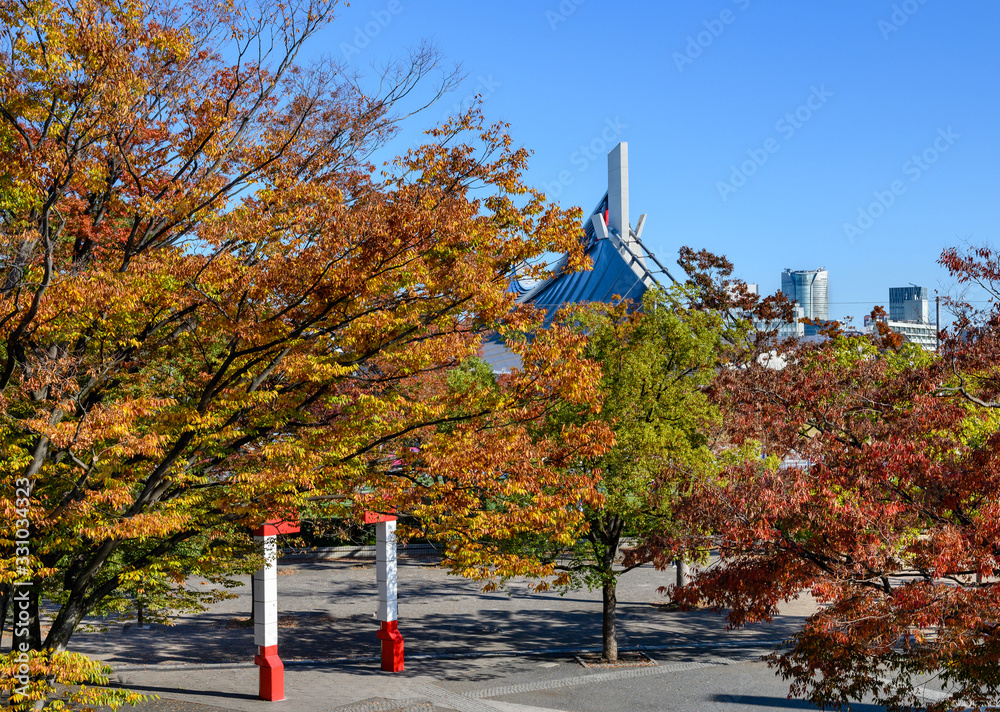 Φωτογραφία Autumn landscape of Yoyogi Park Koen in Shibuya, Tokyo.