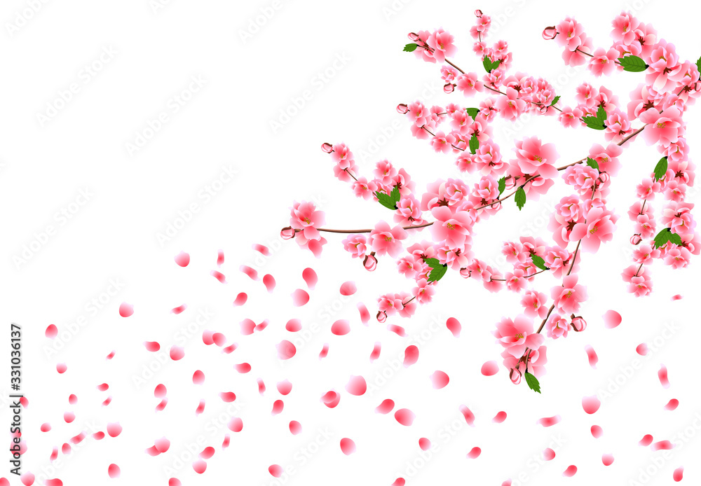 Sakura is magnificent. Cherry branches with delicate pink flowers, leaves and buds. Petals are flying in the wind. illustration Sakura is magnificent. Cherry branches with delicate pink flowers, leaves and buds. Petals are flying in the wind. illustration